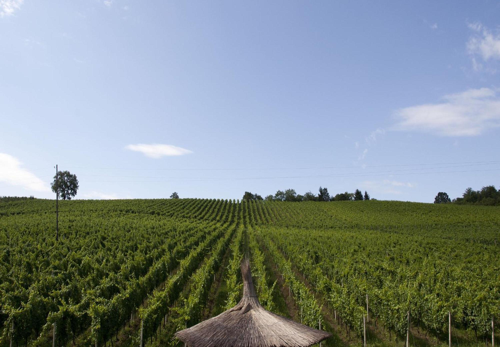 Stupnicki Dvori Winery Hotel Brodski Stupnik Exterior photo