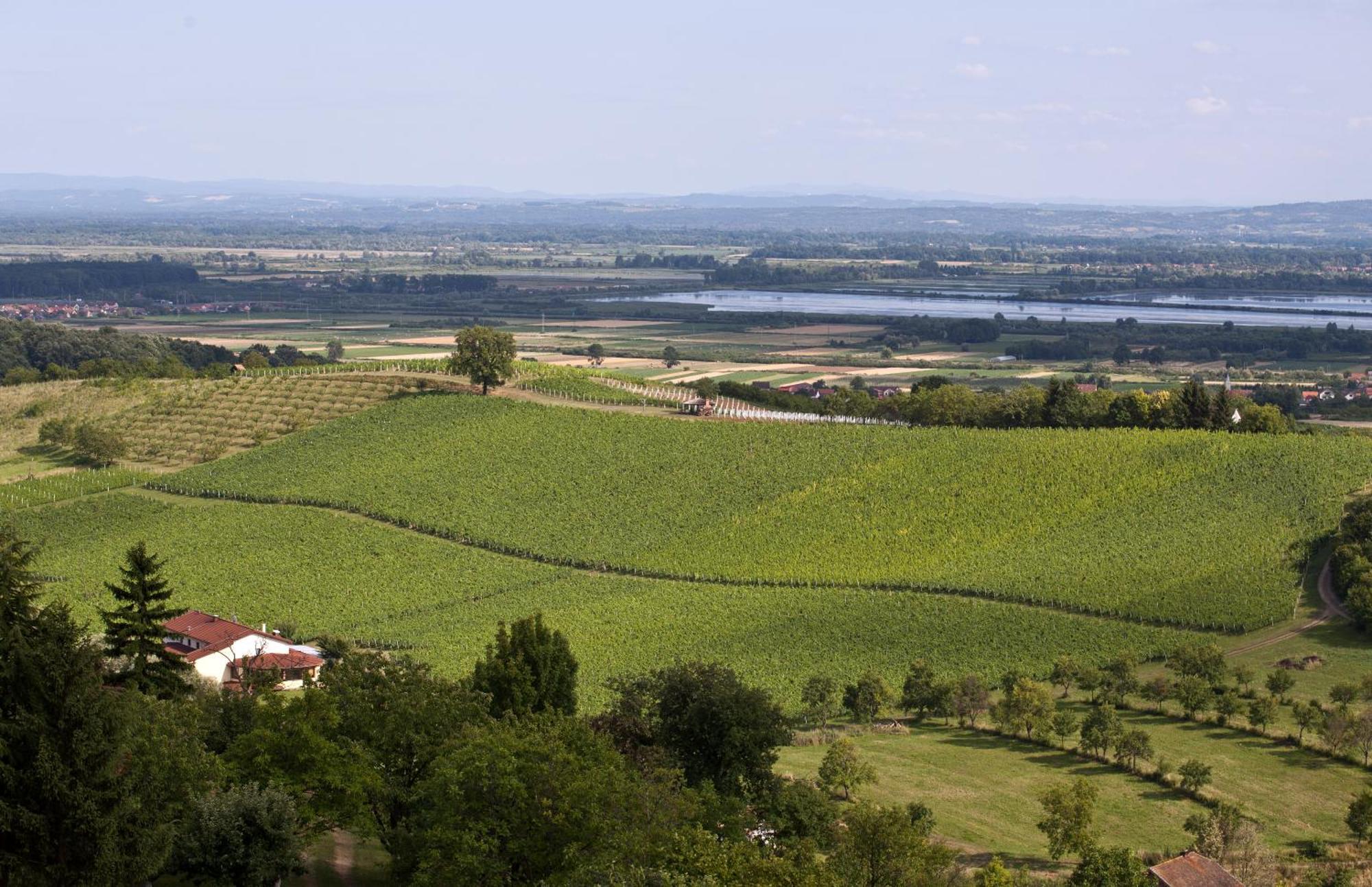 Stupnicki Dvori Winery Hotel Brodski Stupnik Exterior photo