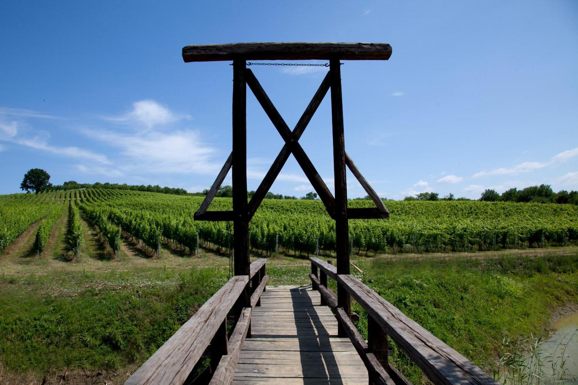 Stupnicki Dvori Winery Hotel Brodski Stupnik Exterior photo